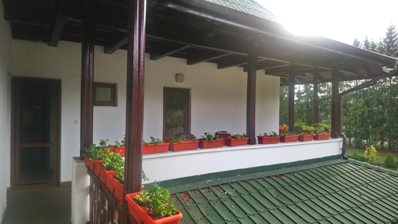 Casa "Ierusalim-Hozeva-Hozeva" Guest House Minastirea Neamt Ngoại thất bức ảnh